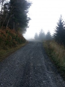fog ahead