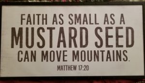 Faith as small as a mustard seed.