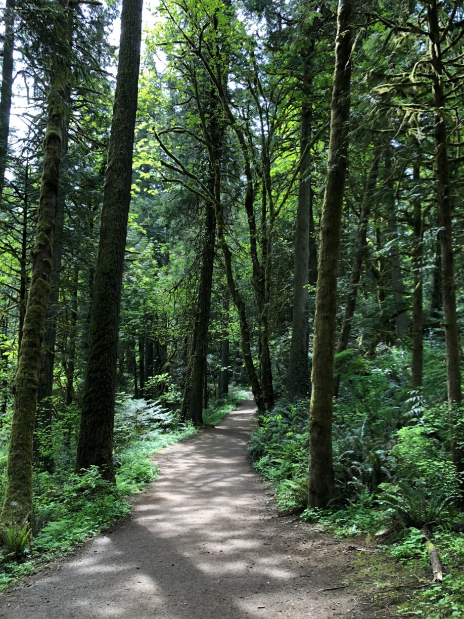 Pacific NW path
