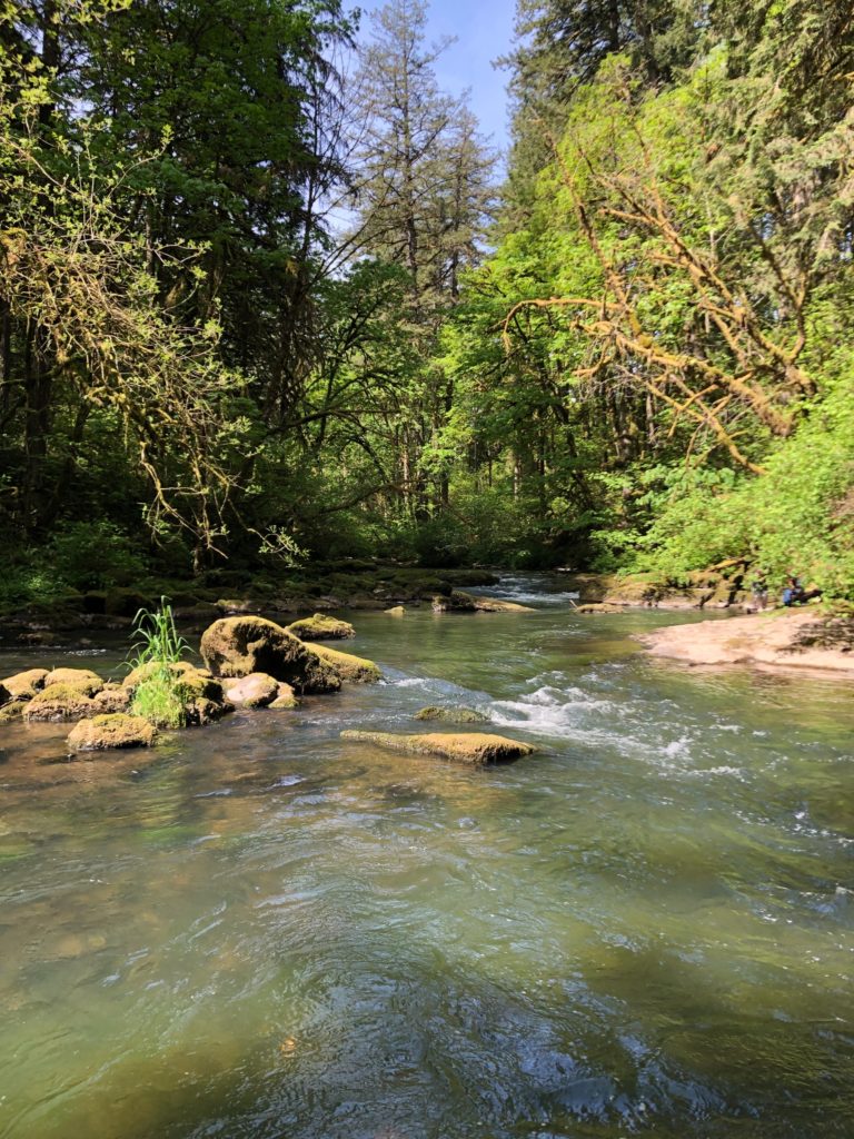 Lessons from the Pacific Northwest - Mesu Andrews